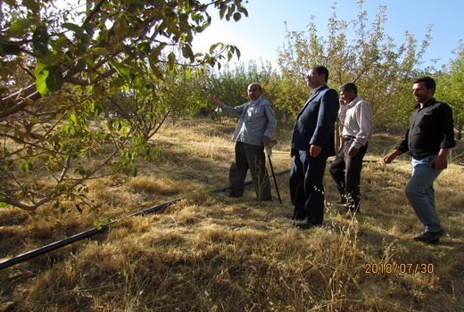 آبرسانی با تانکر، نسخه‌ای موقت برای حل کم آبی باغات کهگیلویه و بویراحمد