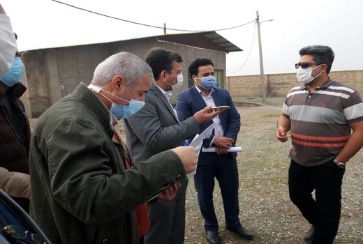 بازدید سرزده معاون وزیر جهاد کشاورزی از واحدهای پرورش مرغ ورامین