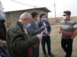 بازدید سرزده معاون وزیر جهاد کشاورزی از واحدهای پرورش مرغ ورامین
