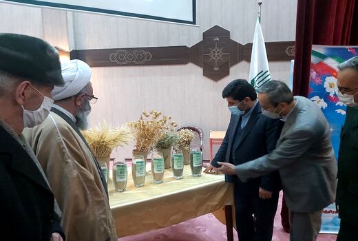 رونمایی از هفت رقم زراعی جدید در موسسه تحقیقات دیم کشور در مراغه