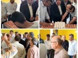 بازدید مشاور وزیر جهادکشاورزی از زنجیره تولید تخم مرغ چیکا طلایی در گنبد
