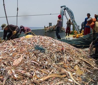 اشتغال ۱۶۰ خانواده صیاد بومی  در شهرستان مهستان سیستان و بلوچستان