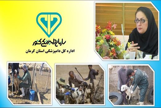 واکسیناسیون بیش از سه میلیون راس دام استان برعلیه طاعون نشخوارکنندگان کوچک