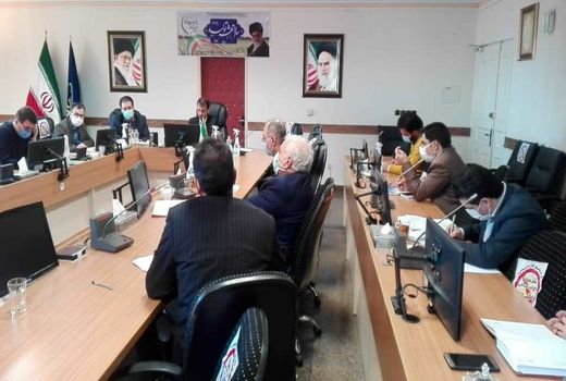 گروه های رصد و پایش دریافت تولیدات واحدهای پرورش مرغ در استان تهران ایجاد می شود