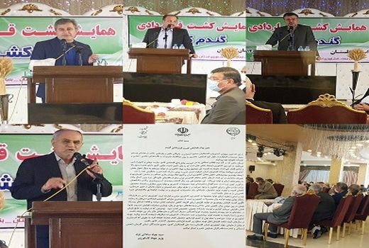 برگزاری همایش کشت قراردادی گندم کشور در شهرستان علی آبادکتول