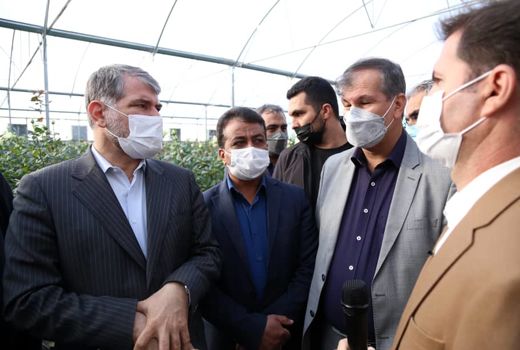 وزیر جهاد کشاورزی از یک مجتمع گلخانه ای در مهریز بازدید کرد