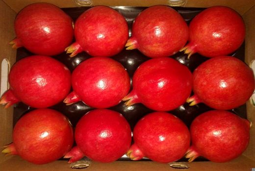 صادرات بیش از 800 تن انار جلفا به کشورهای اوراسیا