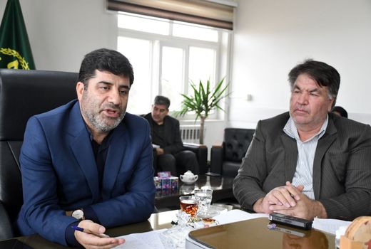 لزوم تعویض تاج و سرشاخه کاری درختان گردو در شهرستان آذرشهر