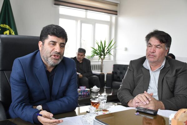 لزوم تعویض تاج و سرشاخه کاری درختان گردو در شهرستان آذرشهر