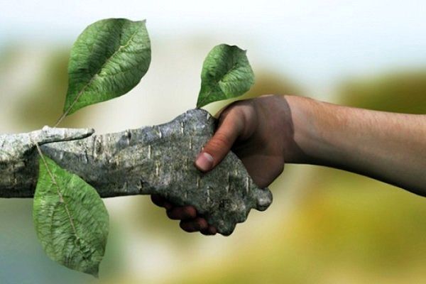 محافظت از طبیعت با مشارکت همیاران طبیعت