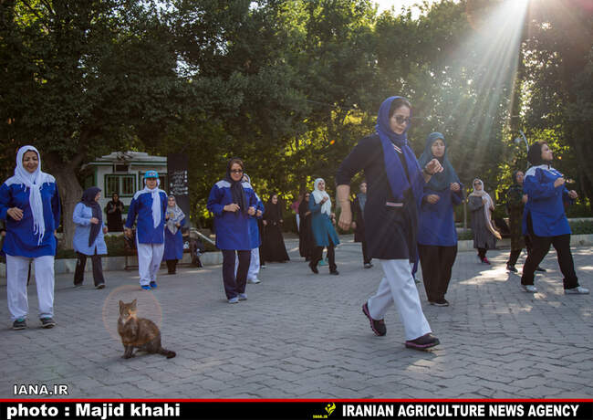 نرمش صبحگاهی