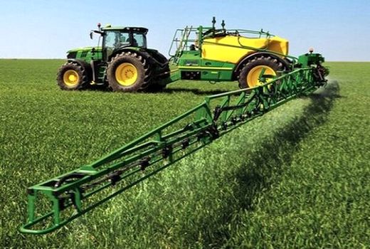 برداشت کنجد مقاوم به ریزش از مزارع دزفول