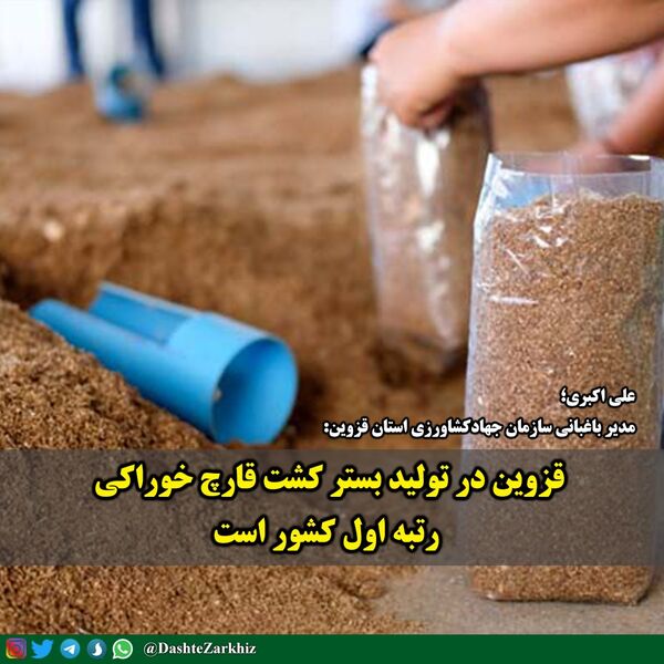 قزوین در تولید بستر کشت قارچ خوراکی در رتبه اول کشور قرار دارد