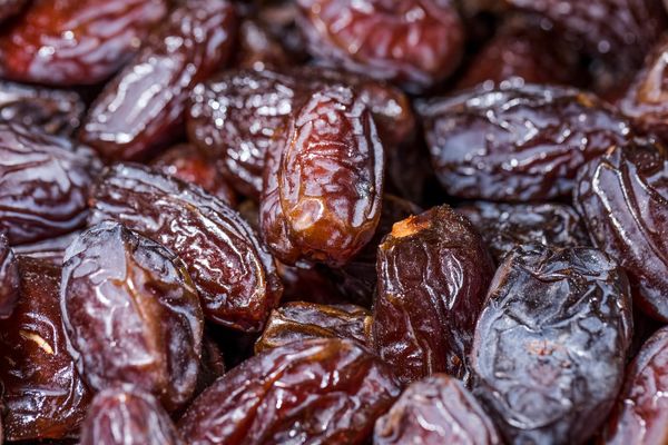 برداشت خرما در شهرستان شاهرود تا اواخر مهرماه ادامه دارد/ پیش‌بینی برداشت ۱۹۵ تن محصول خرما از منطقه