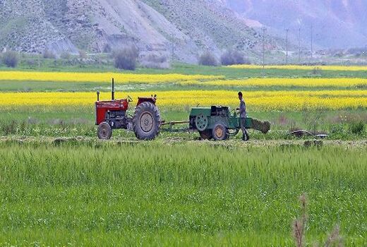 تجهیز و نوسازی اراضی در ۲۱۳ هکتار از مزارع اصفهان انجام می‌شود