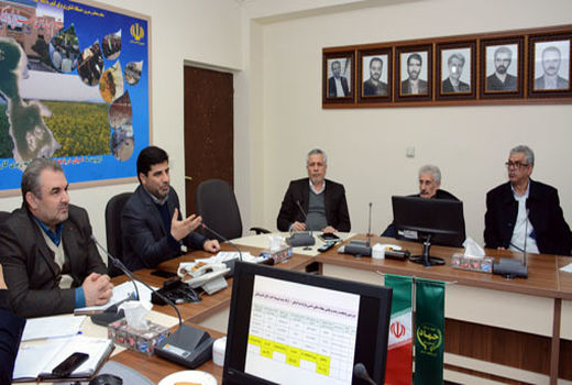 بیش از 580 هزارتن از انواع نهاده های دامی در آذربایجان شرقی تهیه و توزیع شده است