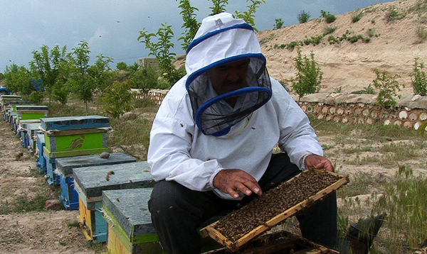 انقراض ملکه‌های ایرانی