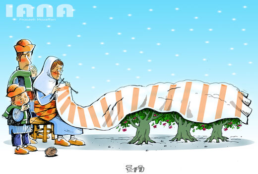 سرمازدگی بلای جان کشاورزان و باغداران-کارتون فیروزه مظفری
