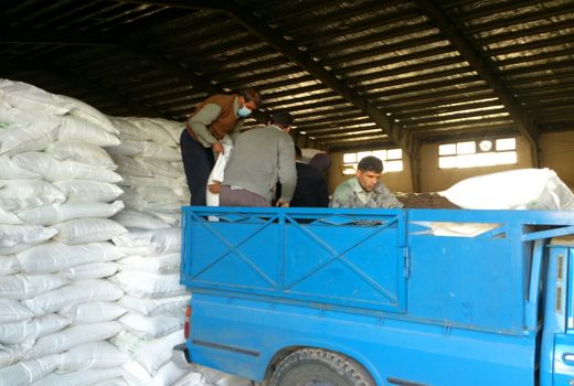 توزیع 284 تن انواع کودهای یارانه‌ای طی 6 ماه سال جاری در شهرستان اشتهارد