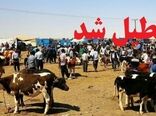  تعطیلی موقت میادین دام در آذربایجان غربی 
