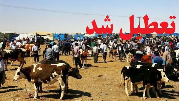  تعطیلی موقت میادین دام در آذربایجان غربی 
