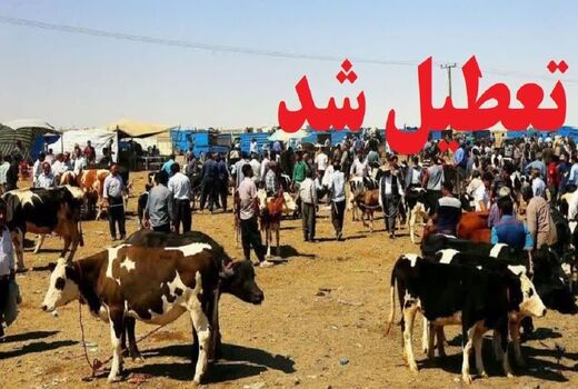  تعطیلی موقت میادین دام در آذربایجان غربی 
