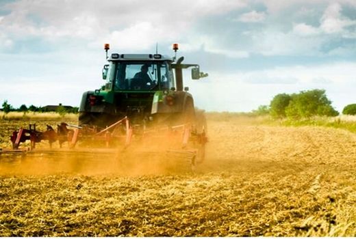 تنها ۱۰ درصد از محصولات کشاورزی اصفهان بیمه شده‌اند