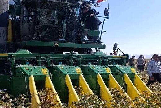 آغاز برداشت مکانیزه پنبه در زرین دشت با کمباین وش چین 