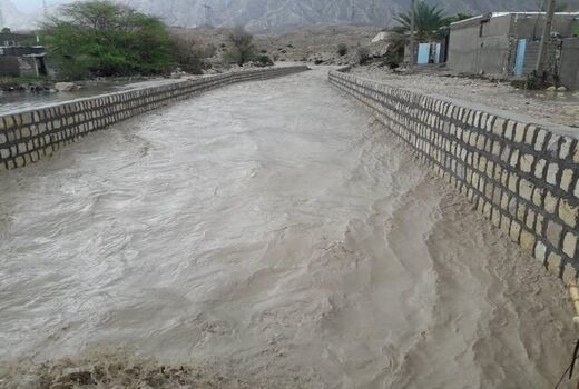 خسارت ۳۶۳ میلیاردی سیل به مزارع و باغات جنوب بوشهر