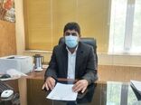 تولید ۲۱هزار تن بذر گندم در استان ایلام در سال جاری