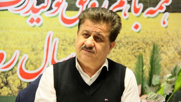 رشد ۹۳ درصدی کشت کلزا در استان خوزستان