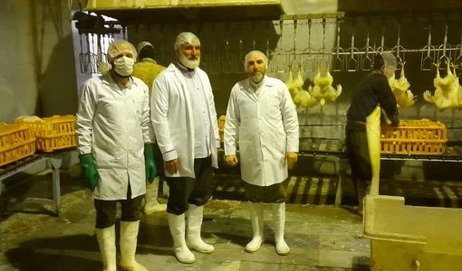 بازدید شبانه مسئول حوزه نمایندگی ولی‌فقیه سازمان جهاد کشاورزی قزوین از کشتارگاه صنعتی بهساز پروتئین ارداق