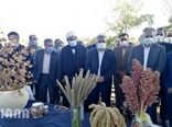 سفر وزیر جهاد کشاورزی به استان خراسان جنوبی	