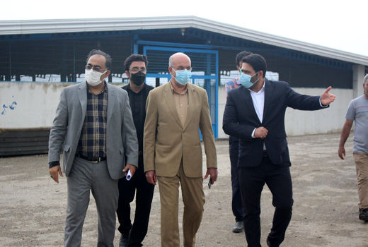 تحویل ۵۰ هزار قطعه بچه ماهی خاویاری بلوگا به بخش خصوصی در سال جاری 