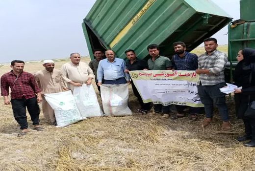 ارائه راهکارهای مناسب برای کاهش افت کمباین