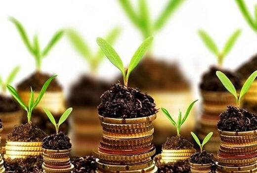 آغاز گردهمایی منطقه‌ای صندوق‌های حمایت از بخش کشاورزی در سنندج
