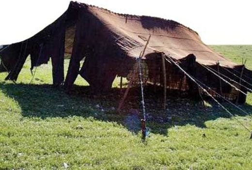 صادرات سیاه‌چادر به کشورهای همسایه