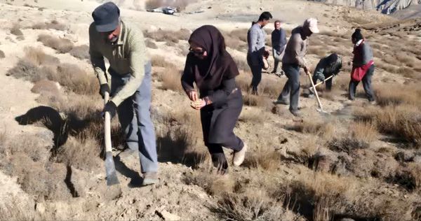 پویش کویر سبز در سطح یک هزار هکتار در فصل پاییز 