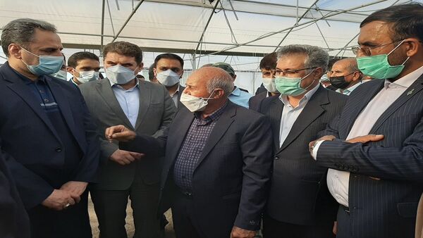 راه‌اندازی کارگروه پایش پیاز جنوب کرمان در وزارت جهاد کشاورزی