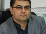 سالانه ۵۰ در صد گندم تولیدی استان توسط شبکه تعاونی روستایی کردستان خریداری می‌شود.