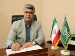 حفظ زنبورعسل به معنای حفظ محیط زیست و ادامه حیات منابع طبیعی است