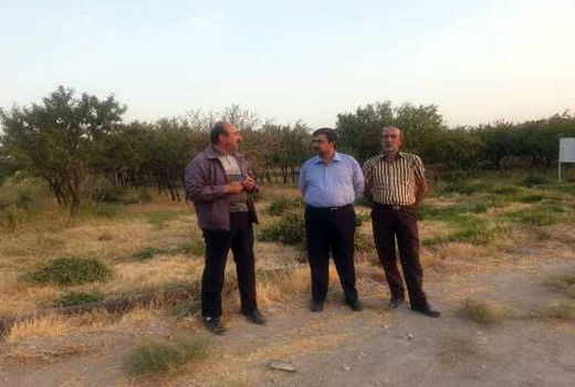 هماهنگی بیشتر سیستم تحقیقات، اجرا و ترویج باعث اثر بخشی فعالیتهای پژوهشی در عرصه تولید است