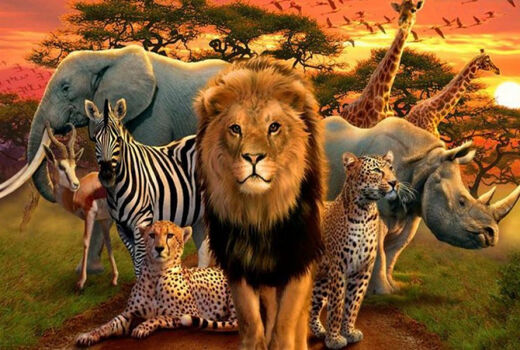 چگونه کسب و کارها می‌توانند به حفظ سیاره زمین کمک کنند؟