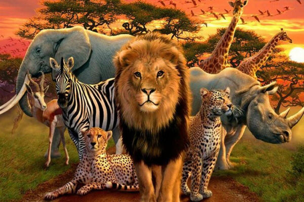 چگونه کسب و کارها می‌توانند به حفظ سیاره زمین کمک کنند؟
