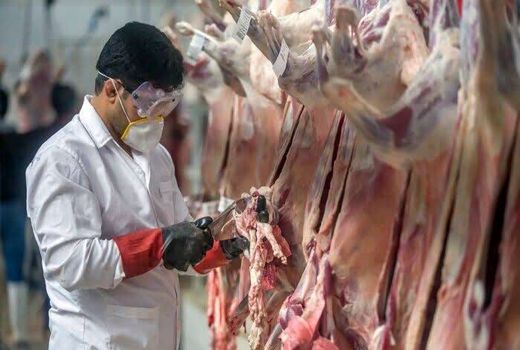 ذبح بیش از ۱۶۰۰ راس دام هم‌زمان با عید قربان با نظارت دامپزشکی 