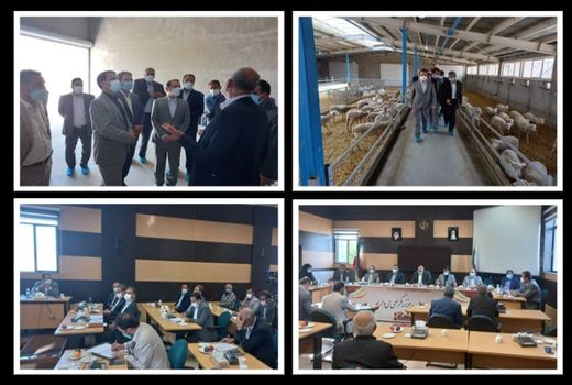 تخصیص سهمیه نهاده‌ها بر اساس سرشماری دام‌ها باید باشد