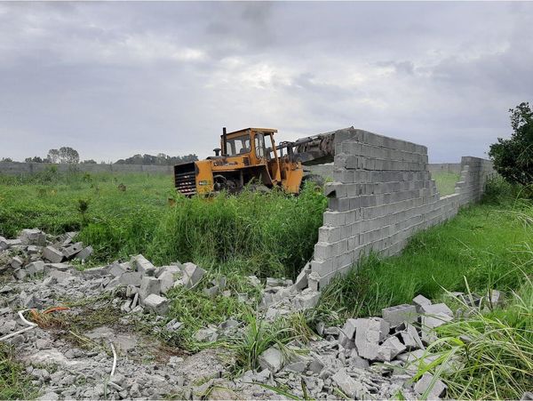 بازگشت 40 هزار مترمربع اراضی کشاورزی آمل به چرخه تولید