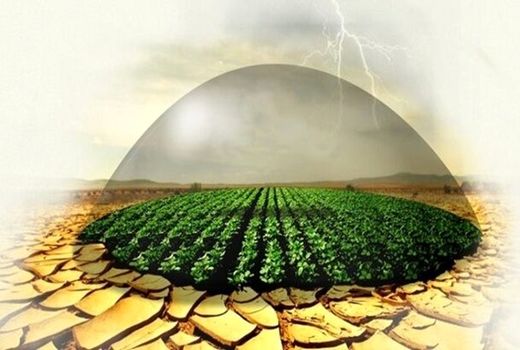 بیمه محصولات کشاورزی تا ۱۵ اسفند امسال در آذربایجان غربی تمدید شد