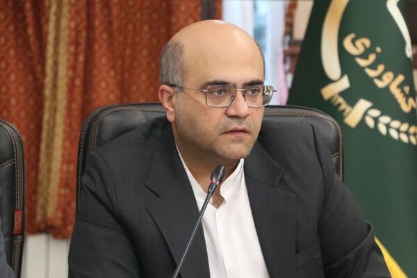 نرخ خرید توافقی کلزا ۱۱۰ هزار تومان شد/پرداخت بیش از ۹۳ درصد مطالبات گندم‌کاران