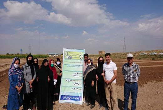 زنان روستایی شهرستان آبیک با اصول کشت زعفران در مزارع آشنا شدند